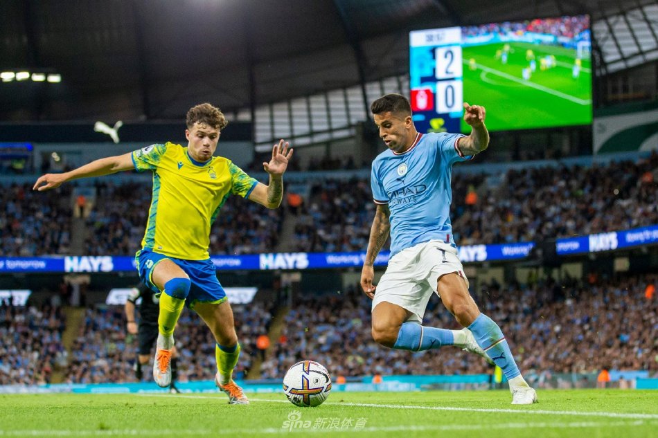 仅关乎教练 仅关乎教练